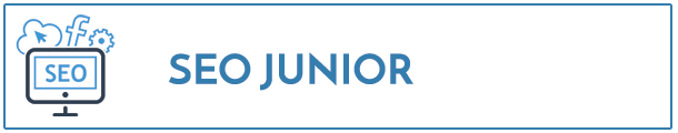 SEO Junior